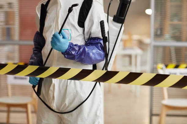 Professional Hoarding Cleanup technician working in Weymouth, MA